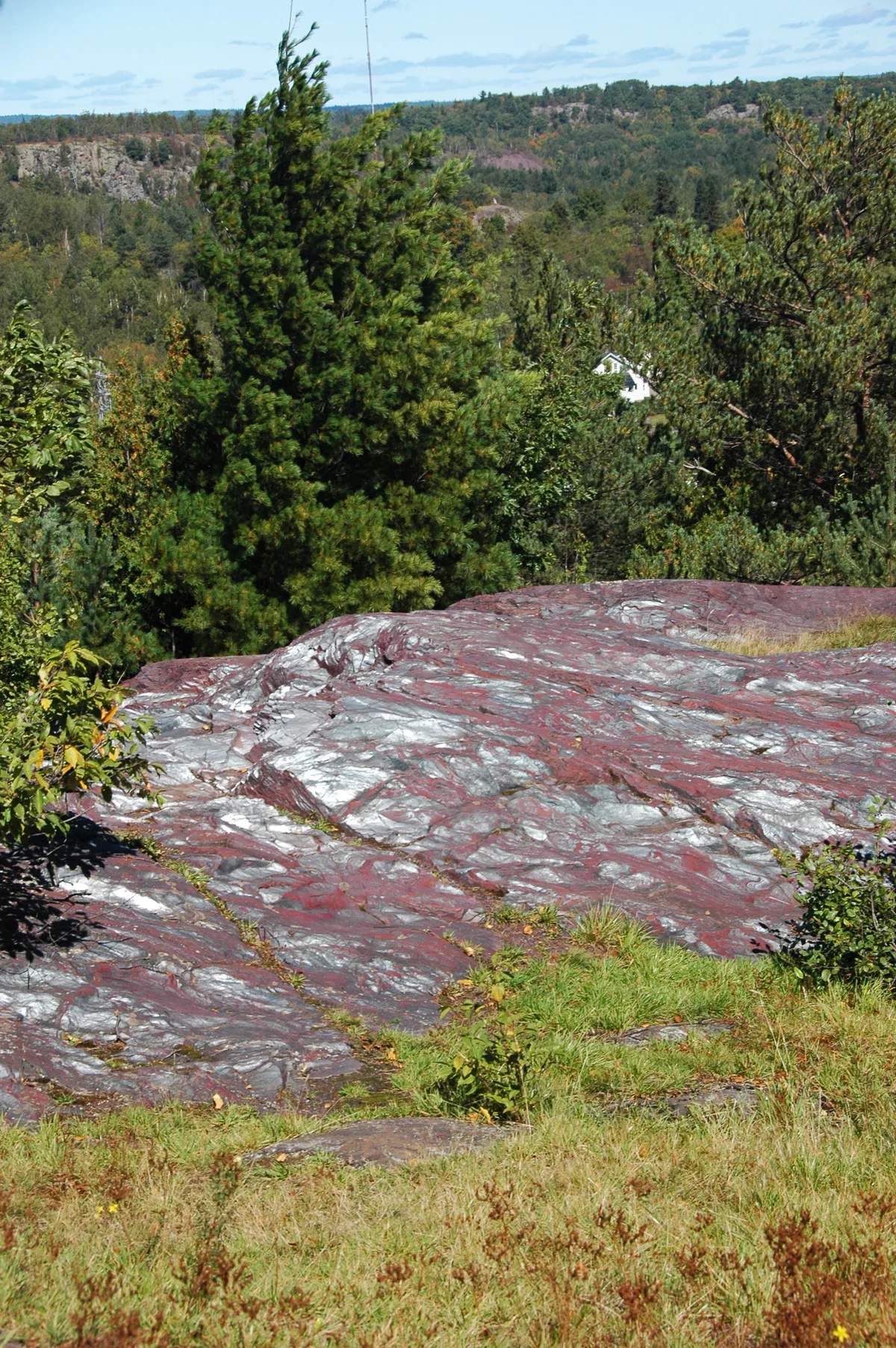 A broad, smooth outcrop of red-and-silver banded rock fills the foreground, edged by tufts of grass and low shrubs. Beyond it, dense green trees drop away to distant ridgelines under a pale blue sky.