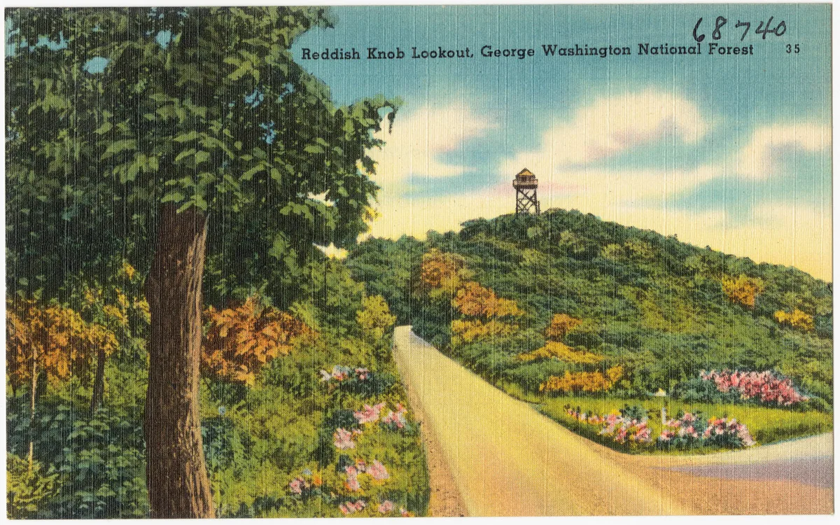 A postcard-style view of Reddish Knob shows a winding gravel road climbing toward a small fire lookout tower on a grassy, tree-covered ridge. Bright flowers, leafy trees, and a soft blue sky with puffy clouds frame the sunny mountain scene.