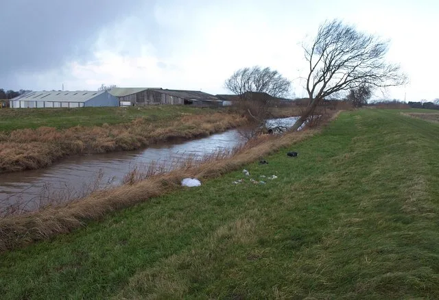 A narrow stream bends through a grassy riverbank, with tan reeds lining the water and a leafless tree leaning over the right side. Low farm buildings sit under a pale, cloudy sky, giving the scene a quiet winter feel.