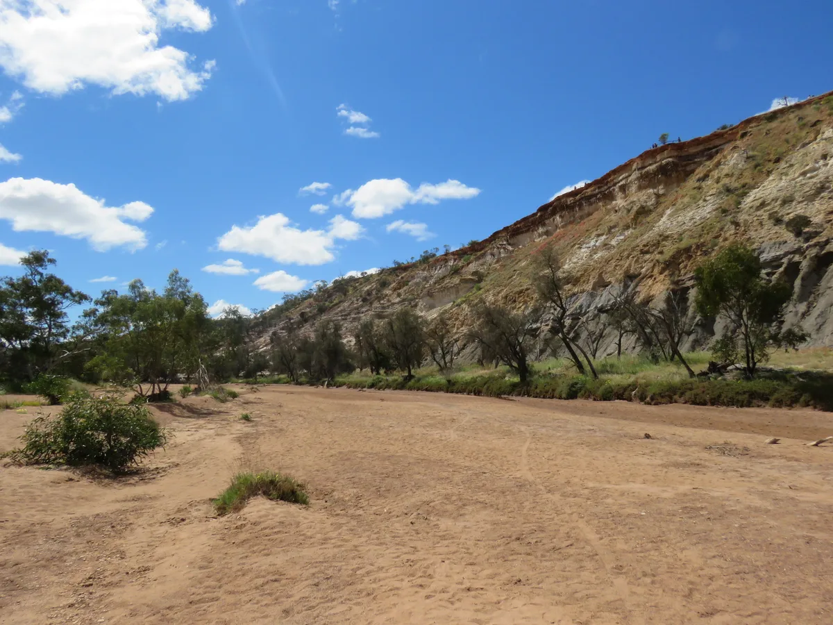 Sandy riverbank and exposed cliff under a bright blue sky, with a line of sparse trees following the edge of the creek bed. The low sun casts soft light across the tan foreground and the layered rock face.