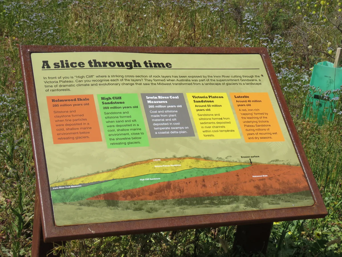 An informational sign on a rust-colored metal stand explains layered rock formations with a colorful cross-section diagram, set in tall grass and wildflowers. Trees and brush fill the background in bright daylight.