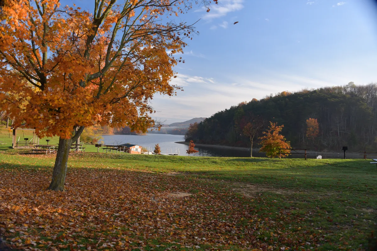 An autumn overlook at Rocky Gap shows Lake Habeeb framed by a large orange-leaved tree in the foreground, with picnic tables on a grassy slope and wooded ridges rising around the water. The calm lake curves into the narrow mountain gap under a clear blue morning sky.
