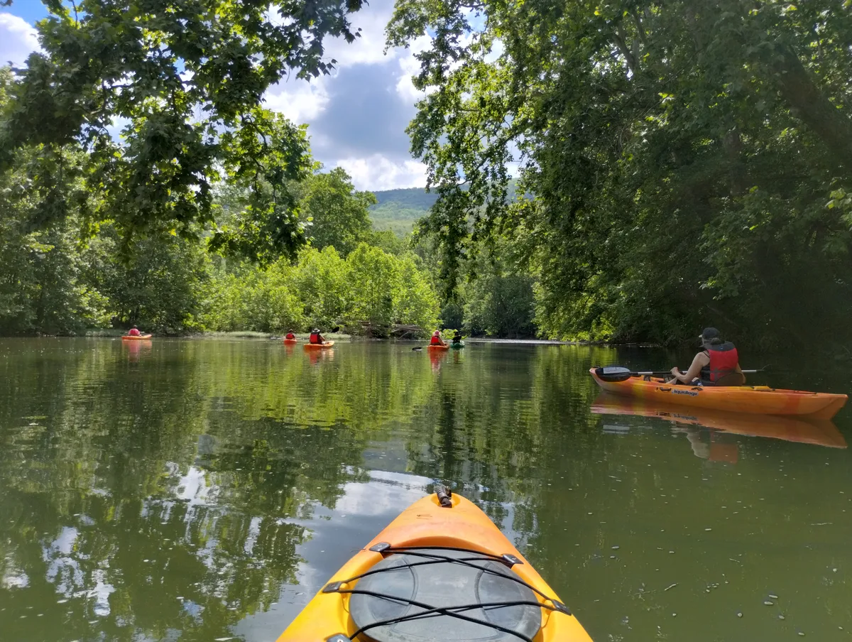 Several kayaks drift on a calm, tree-lined river, with the orange bow of the photographer’s kayak in the foreground and a line of paddlers ahead under a bright, partly cloudy morning sky. Dense green canopy frames the water, which reflects the trees and the distant wooded ridge.