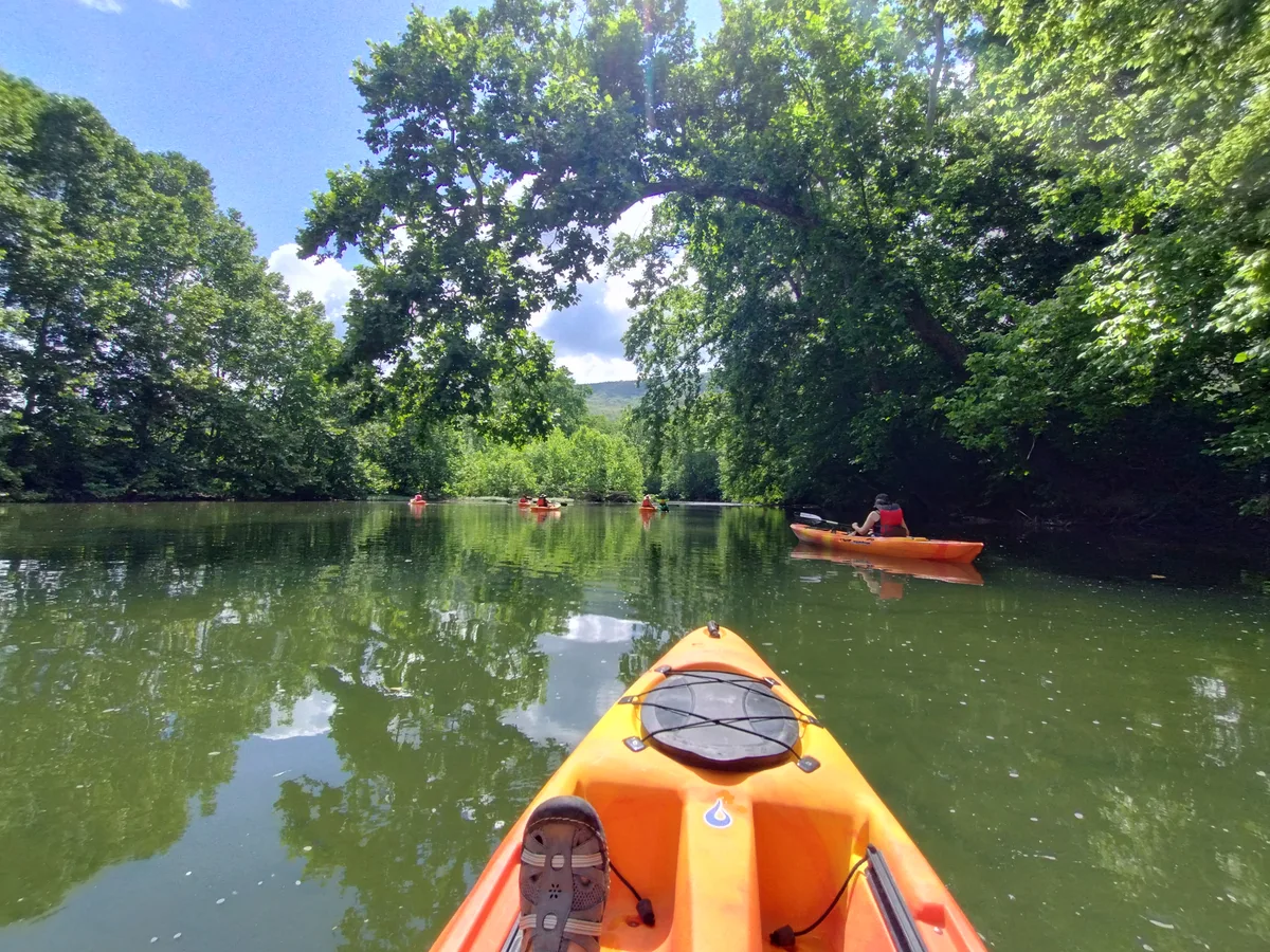 Orange kayaks drift along a calm, green river under a leafy arch of trees, with their reflections rippling across the water. Sunlight filters through the canopy on a bright morning, and the bow of one kayak points toward a bend framed by dense summer foliage.
