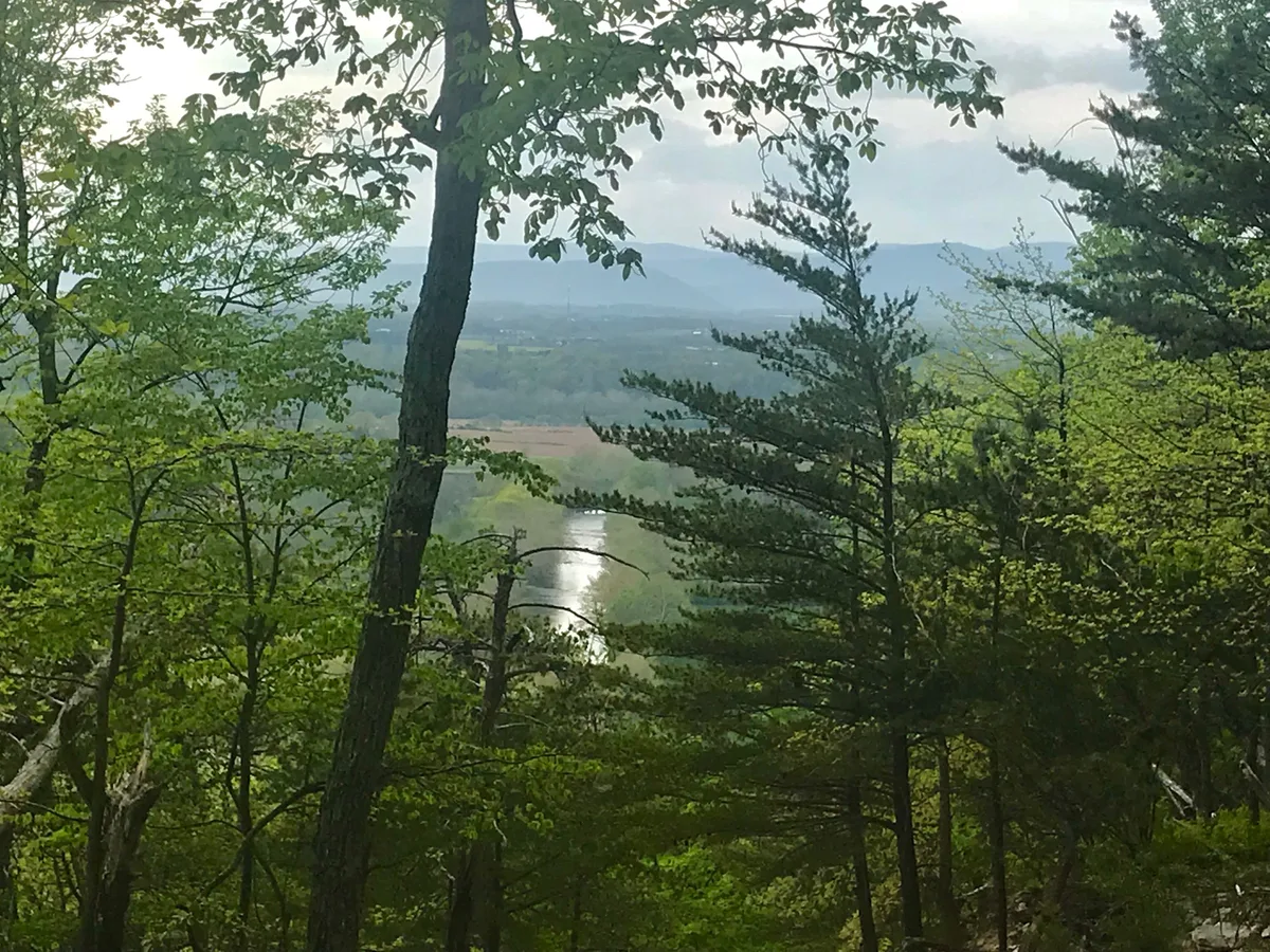 A wooded overlook frames a bright, winding stretch of river in the valley below, with spring-green leaves and tall pines in the foreground. Hazy blue ridgelines and patchwork fields recede into the distance under a soft morning sky.