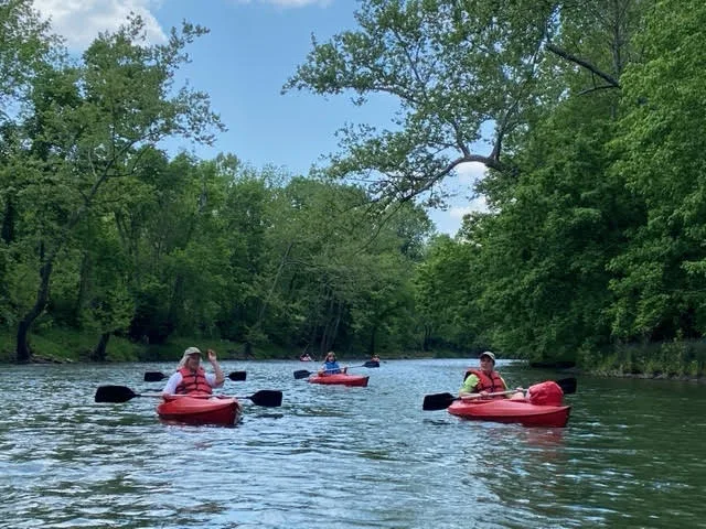 Several kayakers paddle red boats along a calm, tree-lined bend of the river, with dark rocks breaking the water’s surface. Morning light and a bright blue sky peek through the leafy canopy, giving the scene a cool, shaded summer feel.