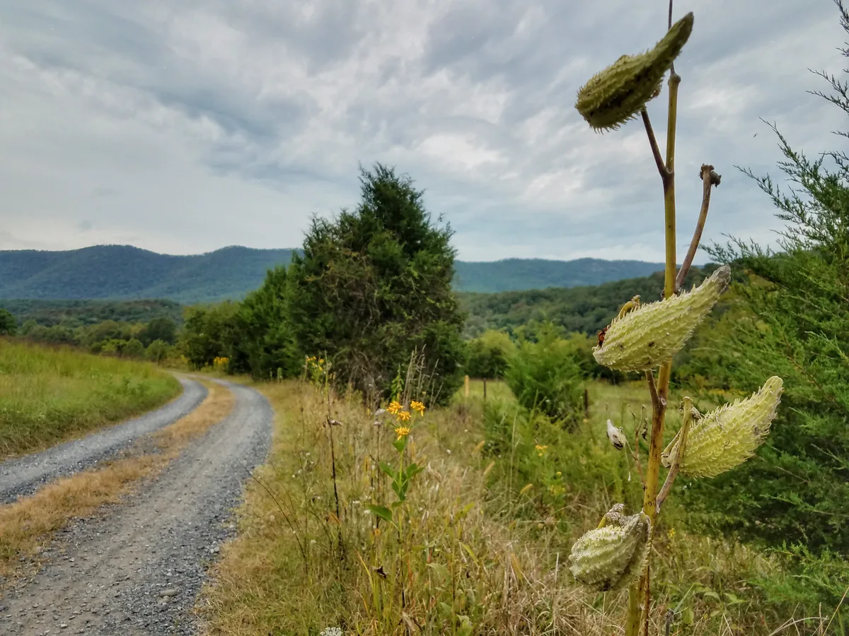 Shenandoah River State Park