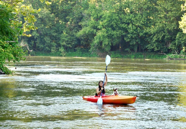A kayaker in an orange-and-red canoe paddles across the calm Shenandoah River, with rippled water filling the foreground and a dense green tree line along the far bank. The wide, sunlit scene feels quiet and summery, with soft reflections on the water.