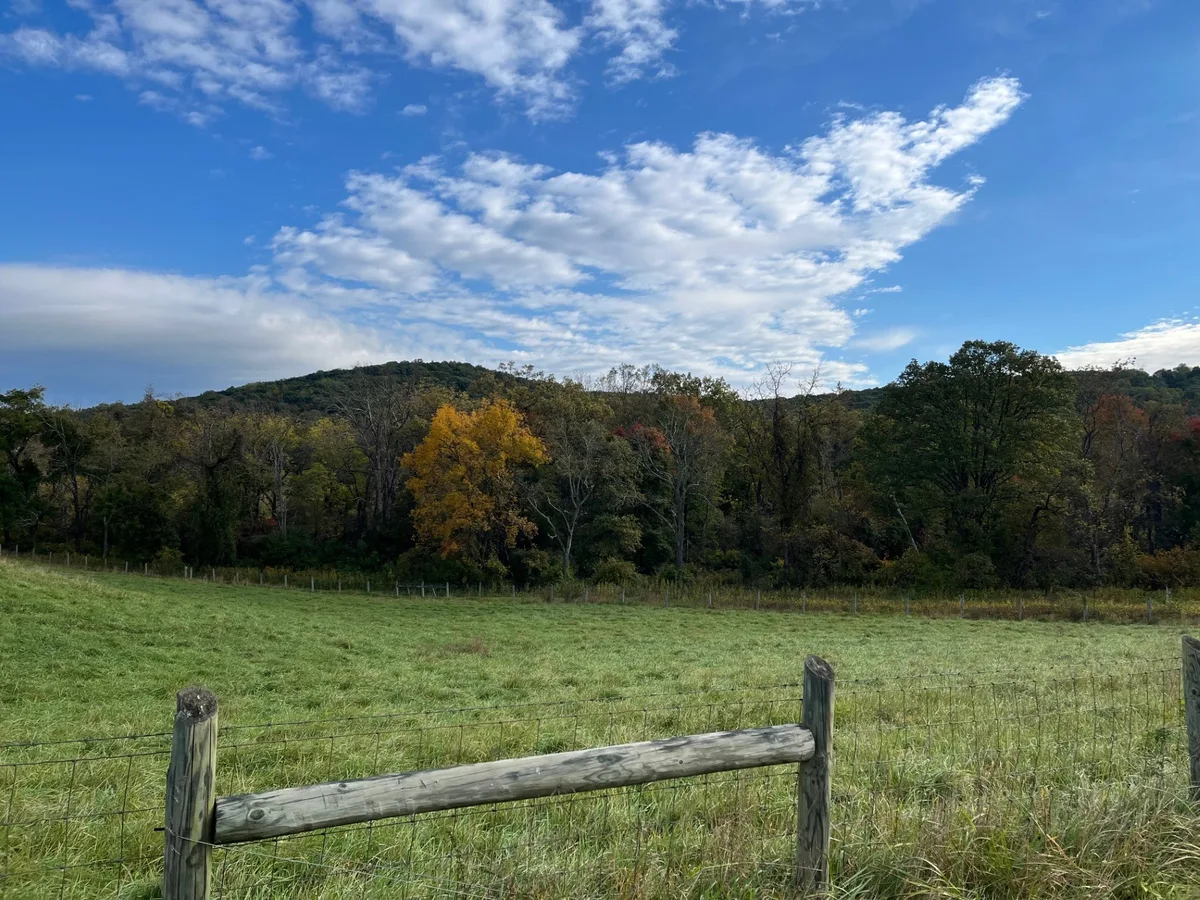 A grassy pasture with a weathered split-rail fence fills the foreground, leading to a line of dark wooded hills and one bright yellow-orange tree at the edge of the meadow. Above, a wide blue sky is streaked with thin, scattered clouds, giving the scene a crisp early-autumn feel.