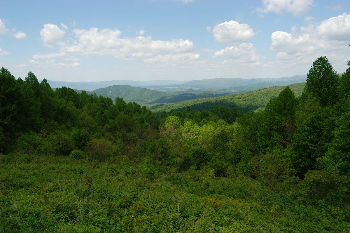 Wide view from a mountain overlook over dense green forest rolling into a broad valley and layered blue ridges in the distance. Puffy white clouds drift across a pale blue sky, with soft haze flattening the far horizon.