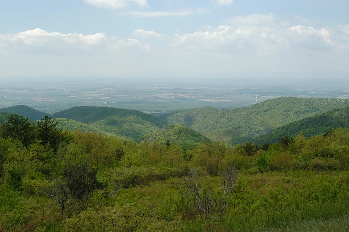 A wide, hazy panorama from Skyline Drive looks west over layered green ridges, a broad valley, and distant blue mountains beneath a pale sky with scattered white clouds. Spring foliage fills the foreground, and the soft light gives the scene a calm, expansive feel.