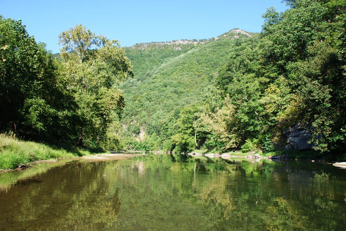 A calm, glassy river runs through a green limestone canyon, reflecting the trees and bright blue sky on a still morning. Forested cliffs rise in the background, with rocky outcrops peeking through the dense summer foliage.