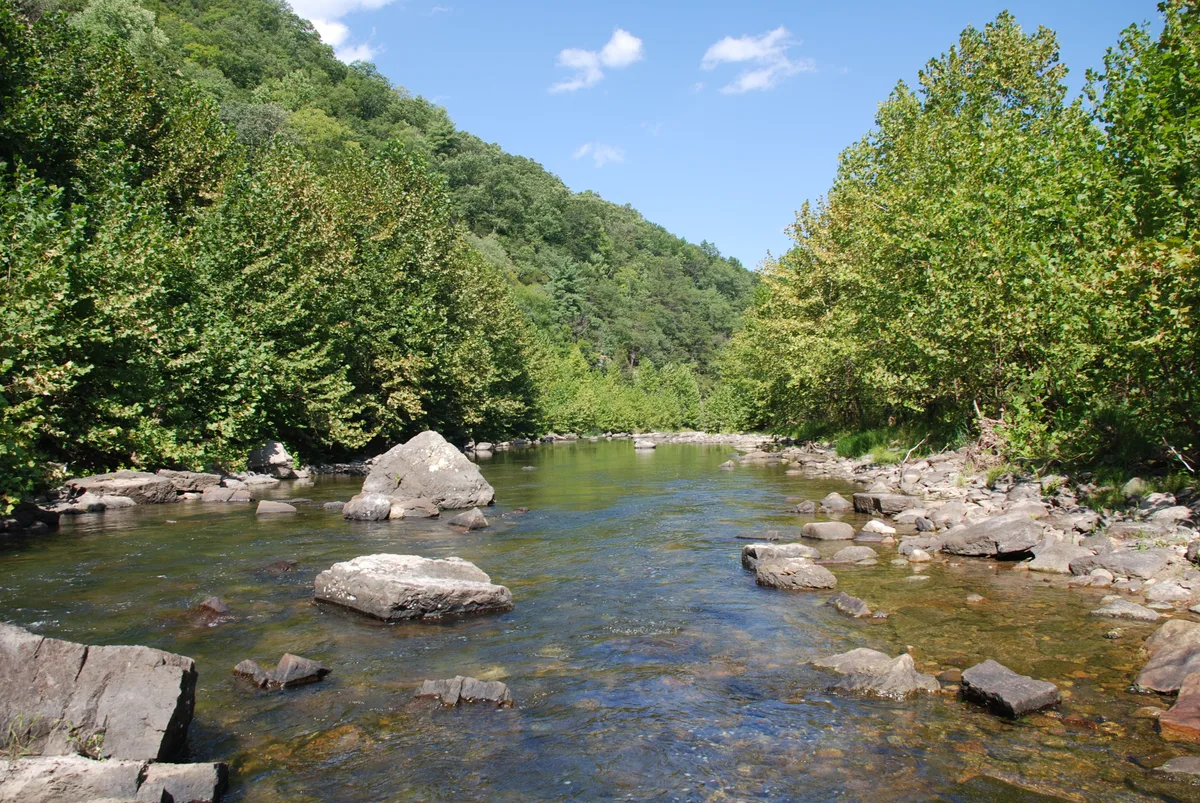 Clear water flows gently through a rocky bend in Smoke Hole Canyon, with large limestone boulders scattered in the stream and dense green trees crowding both banks. Sunlit hills rise in the background beneath a bright blue sky, giving the scene a quiet, remote feel.