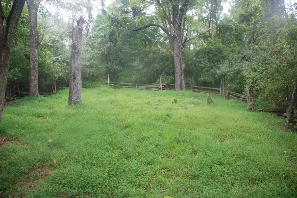 A small, misty cemetery clearing sits in a dense green forest, enclosed by a weathered split-rail fence and dotted with simple grave markers. Tall trees arch overhead, and the soft morning light gives the grassy ground a quiet, humid glow.