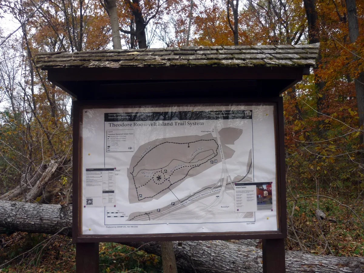 A trail map sign for Theodore Roosevelt Island stands in a wooded area, framed by autumn trees with orange and brown leaves and a fallen log in the foreground. The dark wooden kiosk and shingled roof contrast with the soft, overcast light filtering through the forest.