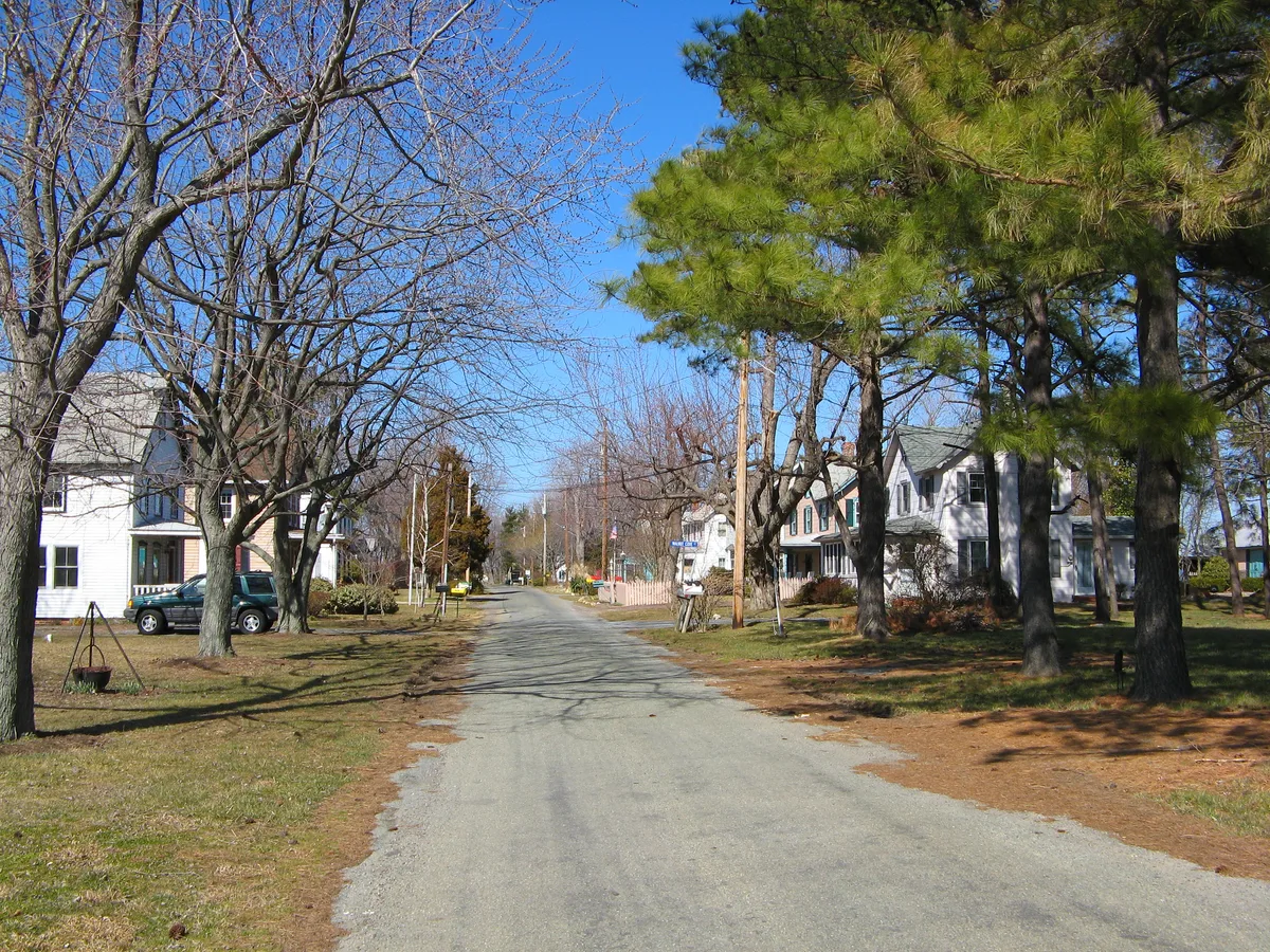 A quiet residential street on Tilghman Island stretches into the distance beneath a bright blue sky, lined with leafless winter trees and tall pines. White clapboard houses with porches and small yards sit close to the road, giving the scene a small-town Chesapeake feel.
