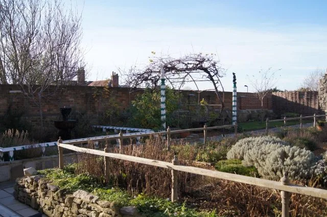 A winter-bare formal garden at Tudor Place, with low boxwood beds, a stone-edged path, and a white-painted wooden trellis arch draped in dormant vines. Brick walls and a small fountain sit behind the planting beds under a bright midday sky.