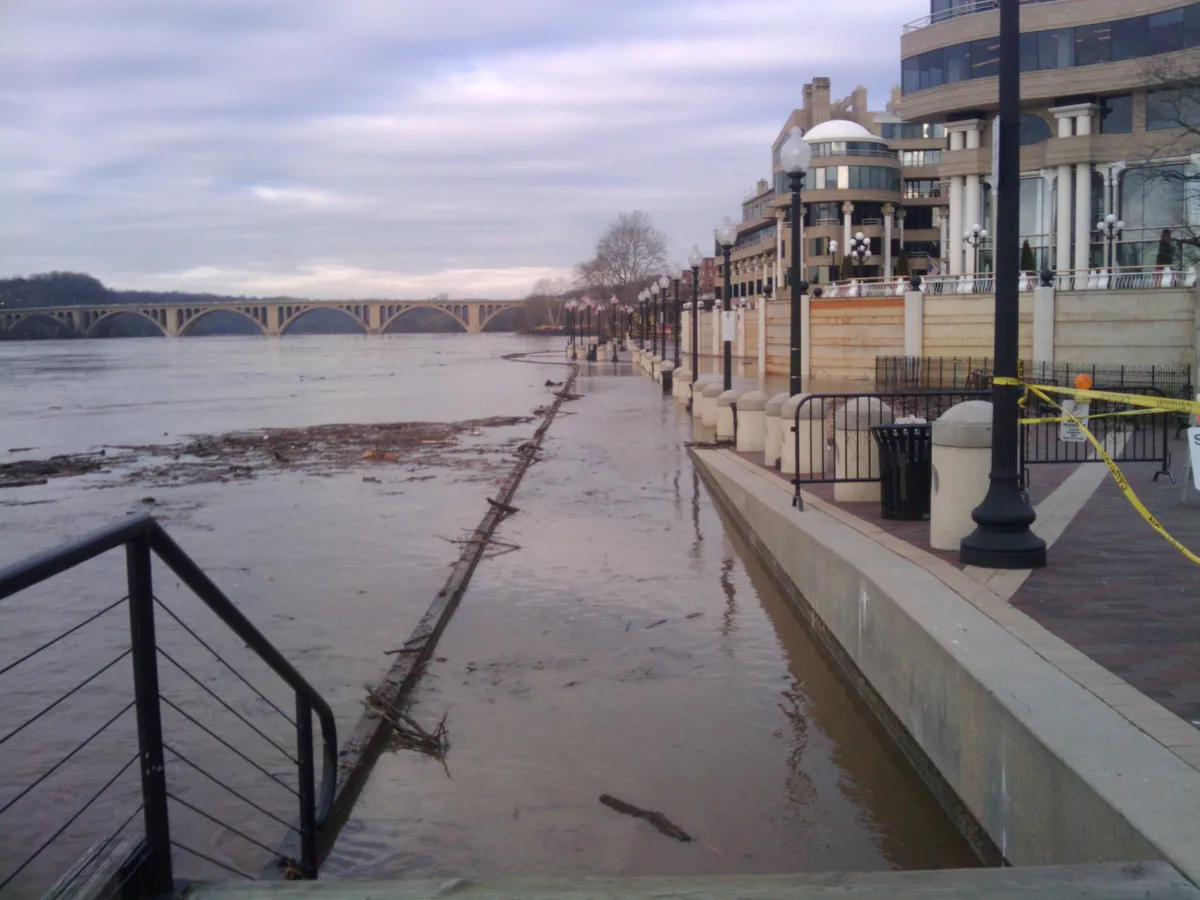 Floodwater covers the Washington Harbour promenade, lapping up to the stone edge and flooding the lower walkway near the marina. The Potomac stretches left toward Key Bridge under a pale, cloudy sky, while the waterfront buildings and lampposts line the right side.