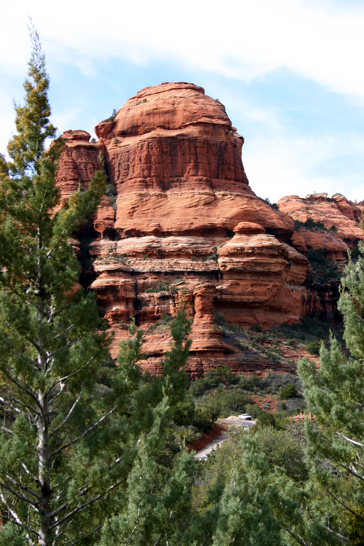 Tall red sandstone buttes rise above dense green juniper and pine trees under a bright blue sky, with layered rock bands and rounded ledges catching the light. A winding road with a few small cars is visible at the base of the cliffs.