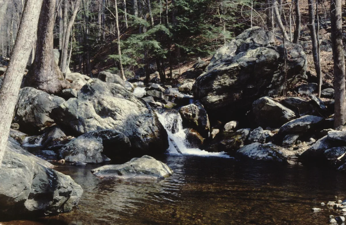 A small waterfall spills between moss-darkened boulders into a clear, still pool in a wooded hollow, with tall hemlocks and bare trunks framing the rocky scene. Sunlight catches the water and pale rock surfaces, creating bright highlights against the shaded forest.