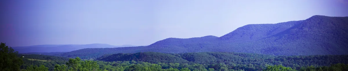 Woodstock Tower