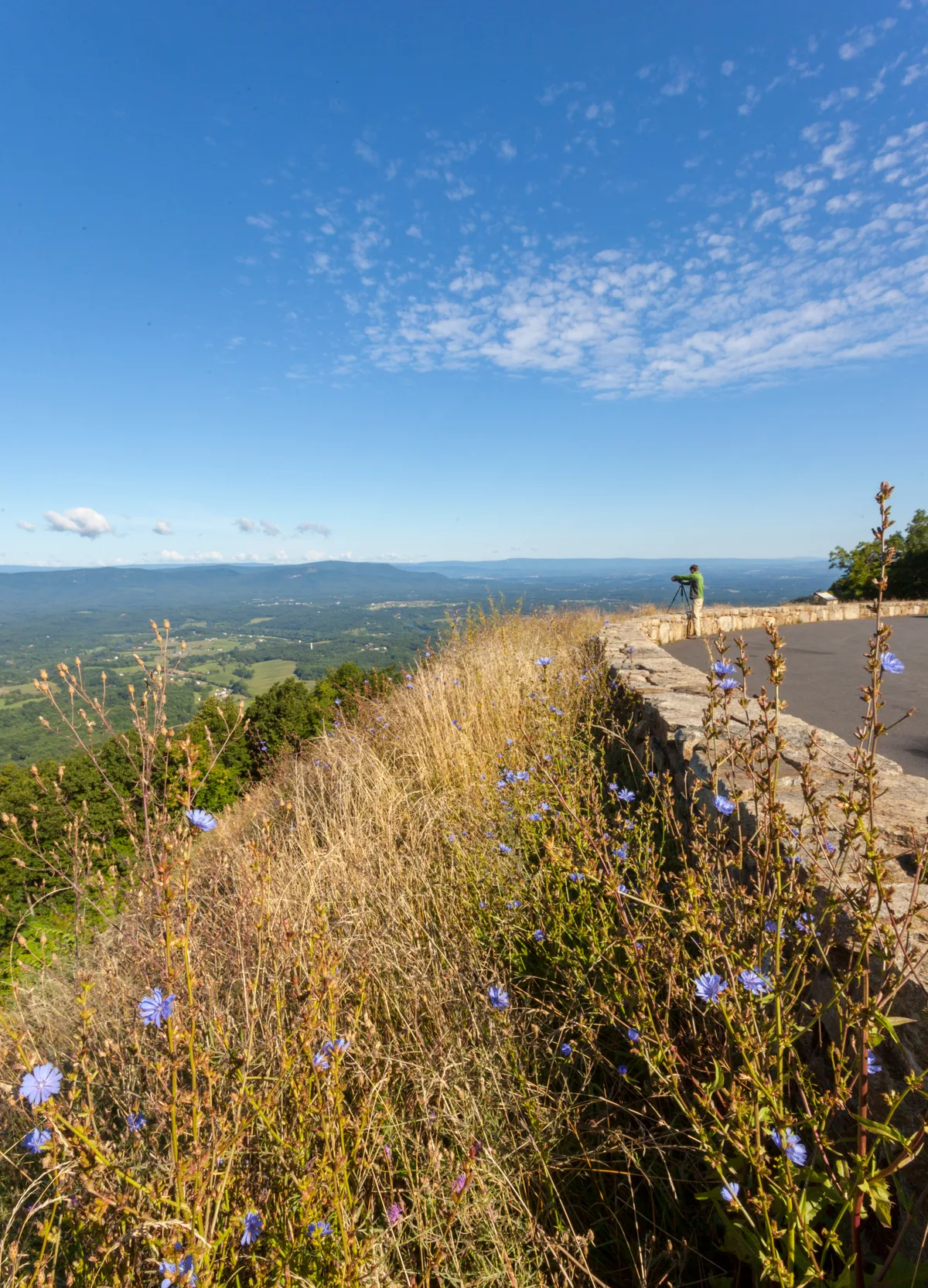 A wide overlook on Massanutten Mountain shows a stone parapet, wild grasses, and blue wildflowers in the foreground, with a lone visitor standing at a tripod and surveying the Shenandoah Valley below. Layered blue ridges stretch to the horizon under a bright, cloud-dappled sky.